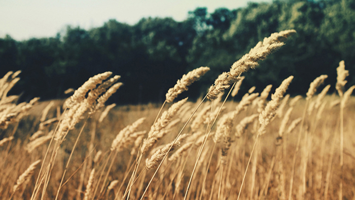 ddos网页在线攻击